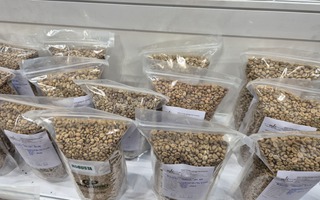 Giá cà phê hôm nay 27-2: Đi lùi, thị trường sắp cân bằng?