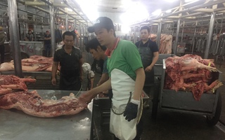 Giá heo hơi hôm nay, 28-2: Diễn biến mới tại chợ đầu mối