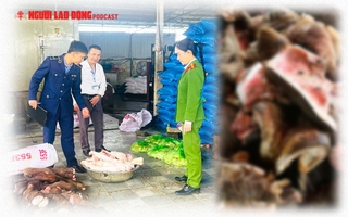 Thu giữ 6 tấn chân trâu thối suýt tuồn vào quán nhậu