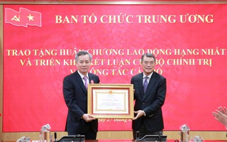 Triển khai Kết luận của Bộ Chính trị về công tác cán bộ tại Ban Tổ chức Trung ương 