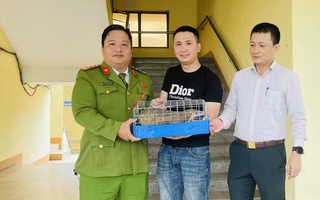 Thấy con vật quý bò trên đường, thanh niên liền bắt giao nộp