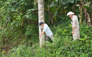 Người dân liên tiếp báo tin về mối nguy hiểm vừa "lộ diện" sau hàng chục năm