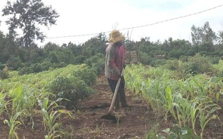 Chưa có kinh phí bồi thường cho 6 giáo viên thắng kiện hơn 4 năm trước