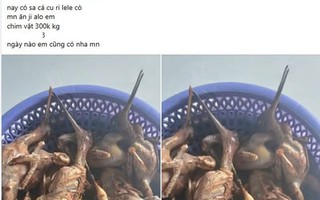 Rao bán động vật rừng trên mạng xã hội, một phụ nữ bị phạt 8,5 triệu đồng