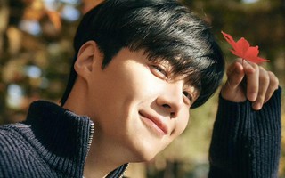 Mỹ nam "Tiếng yêu này, anh dịch được không?" xin lỗi, nộp thêm thuế