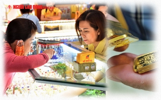 Chóng mặt với giá vàng!