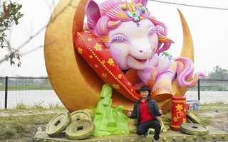 Linh vật ngựa khổng lồ bán hơn 222 triệu, toàn bộ tiền dành hỗ trợ người nghèo