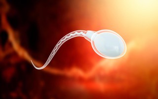 Hay dùng đồ nhựa "1 lần", quý ông có thể gặp nguy