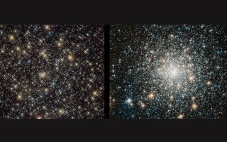 Phát hiện rùng mình về “sinh vật bất tử” của vũ trụ