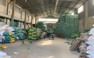 Khởi tố đối tượng sản xuất hàng trăm tấn lúa giống giả bán ra nhiều tỉnh, thành