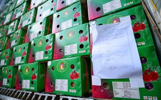 Bộ Nông nghiệp và Môi trường thông tin về Nghị định 46