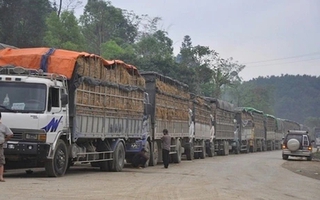 Tạm dừng áp dụng Nghị định 46 về an toàn thực phẩm đến 15-4