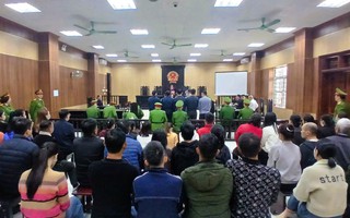 Môi giới hối lộ, trùm giang hồ Mạnh "gỗ" nhận 3,092 tỉ đồng, đưa kiểm lâm 36,5 triệu đồng