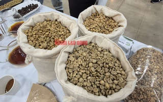 Giá cà phê hôm nay 6-2: Robusta tăng, xuất khẩu bùng nổ gần 1,1 tỉ USD/tháng