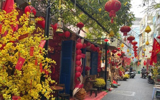 Sắc xuân len lỏi vào từng con hẻm TP HCM