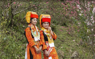 Rực rỡ Lễ hội "Sắc đào xứ Lạng - kết nối muôn phương"