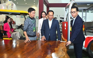 Ngắm phản gỗ quý Cẩm Lai ngàn năm tuổi nặng 6 tấn, giá trị hàng tỉ đồng