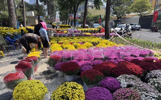 Toàn cảnh các chợ hoa Tết ở TPHCM trước ngày mở cửa chính thức