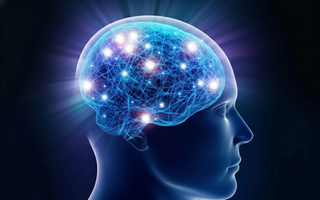 Phát hiện “công tắc" đảo ngược lão hóa