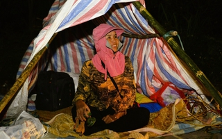 Xuyên đêm trông đào, quất trong giá rét