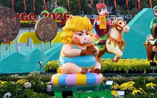 Linh vật ngựa cầm iPhone “gây bão” ở Quy Nhơn: Tác giả lý giải điều bất ngờ