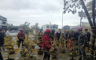 VIDEO: Nhiều người đến mua sau khi hay tin người từ Gia Lai ra Nghệ An bán mai Tết “bị lừa”