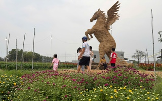 Độc đáo linh vật ngựa khổng lồ bằng rơm ở Tây Ninh