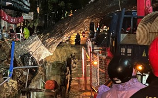 Cây cổ thụ bật gốc giữa đêm ở Đà Nẵng, nghi do đào đường