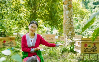 Những bóng hồng kiến tạo tương lai: "Linh Bản Thổ" với mô hình sinh kế bền vững