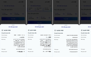 Một phụ nữ lừa đảo chiếm đoạt tài sản với thủ đoạn hiếm thấy