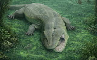 9 quái vật từ "lục địa đã mất" gây sốc cho giới khoa học