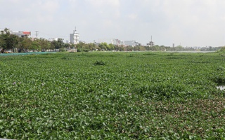 Cần Thơ: Chỉ đạo "nóng" sau phản ánh của Báo Người Lao Động liên quan hồ Búng Xáng