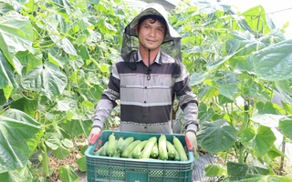 Lao động xuất khẩu chuyển hướng an toàn