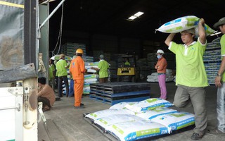 Căng thẳng Trung Đông kéo dài, giá thức ăn chăn nuôi có thể tăng 10%