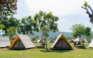 VIDEO: Ngẩn ngơ trước vẻ đẹp thơ mộng của "lá phổi xanh" Dầu Tiếng