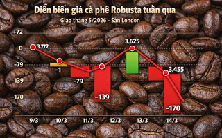 Giá cà phê hôm nay 14-3: Rớt mạnh khi người Mỹ thay đổi thói quen