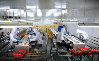 Cà Mau khai thác lợi thế nuôi trồng thủy sản