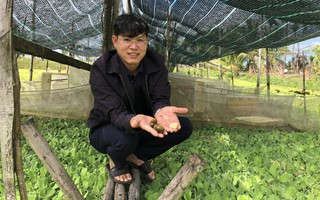 Làm giàu từ nông nghiệp sạch