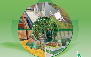 Hiệu quả từ tinh gọn bộ máy, mở rộng dư địa phát triển mới của VRG