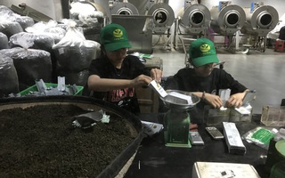 Một lần tới thăm bảo tàng trà ở phố ngàn hoa