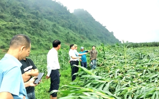 Trận lốc xoáy kinh hoàng vừa xảy ra ở Quảng Trị