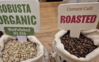 Giá cà phê hôm nay 2-3: Vua xuất khẩu cà phê lý giải diễn biến lạ