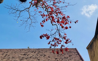 Hình ảnh Côn Đảo vào "mùa đẹp nhất năm"