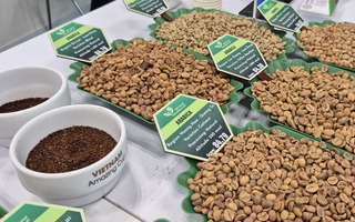 Giá cà phê hôm nay 20-3: Robusta tăng giá 4 ngày liên tiếp