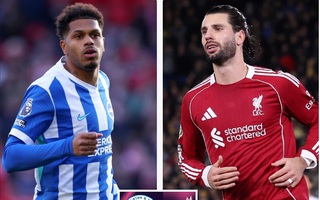 Soi tỉ số trận Brighton - Liverpool: Căng thẳng cuộc chiến ở sân Amex
