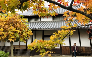 Bình yên Đông Kinh