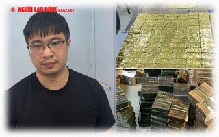 Đế chế lừa đảo của Mr Pips lộ diện và chiêu “giả điên” chạy tội