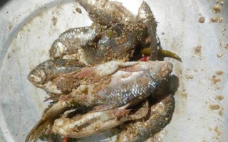 Thuốc hiếm và bài toán điều phối quốc gia