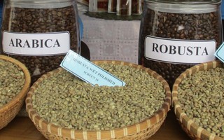 Giá cà phê hôm nay 21-3: Arabica tăng nóng