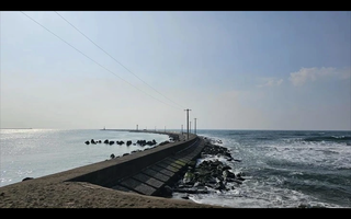 8 người Việt gặp nạn tại Nhật Bản, 1 người tử vong, 3 người mất tích